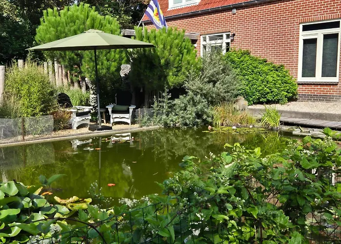 Het Pauwtje